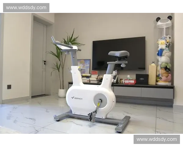 打造全方位居家健身空间畅享智能器材带来的高效锻炼体验