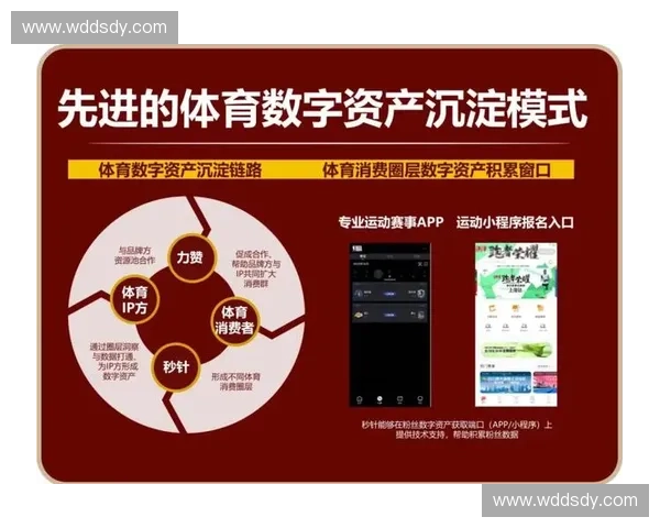裁判辅助工具在现代体育赛事中的应用与发展趋势分析