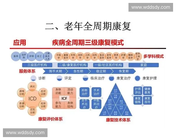 以运动康复为核心的全周期功能重建与健康促进创新体系发展路径研究