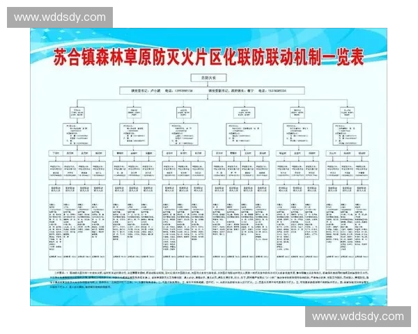 围绕区域联防协同机制构建跨部门跨层级综合治理新格局提升效能 围绕区域联防协同机制构建跨部门跨层级综合治理新格局提升效能